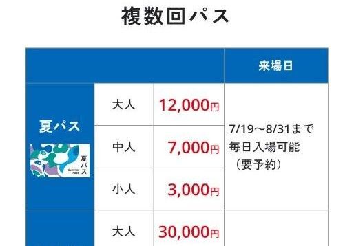 大阪万博 夏パス 大人1名