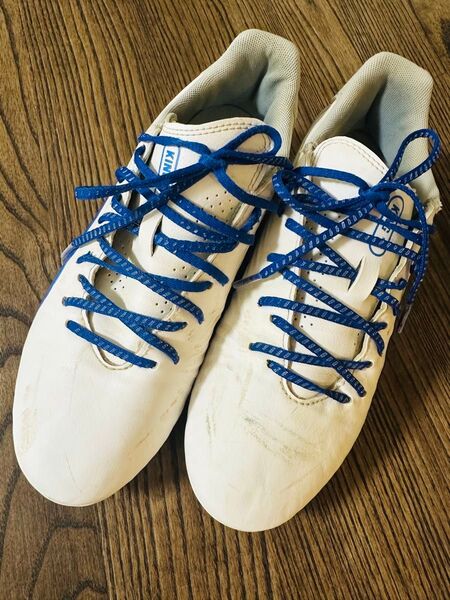 ♪プーマ♪PUMA♪サッカー♪ジュニア♪スパイク♪25.0♪ホワイト♪ミズノ♪ゼログライド