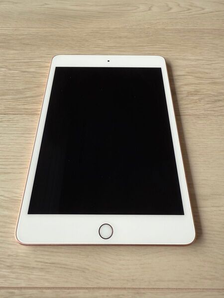 iPad mini5世代 64GB ゴールド Wi-Fiモデル 中古品 ※本体のみ