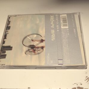 スピッツ ホタル シングルCD