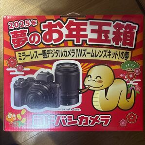 ニコン NIKON Z 50 ダブルズームキット ヨドバシ お年玉箱