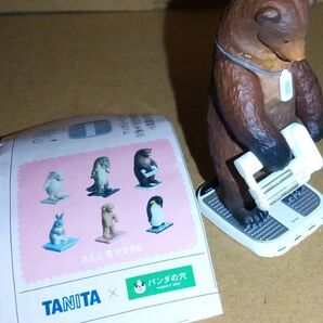 カプセルトイ TANITA パンダの穴 ガチャガチャ 食玩 動物 期間限定セール中 カプセルトイ2点以上で150円引き