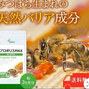 プロポリスMAX 天然のバリア成分 プロポリス 高麗人参 3ヶ月分