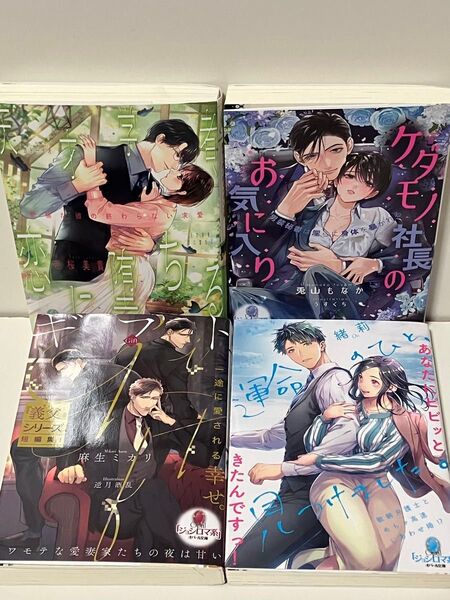 TL小説 ケダモノ社長のお気に入り 男装秘書は淫らに身体を暴かれる (オパール文庫) 兎山もなか/著 他 4冊セット