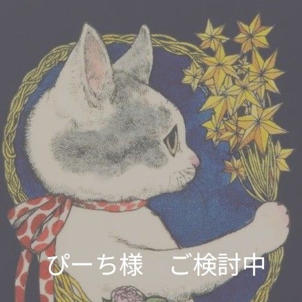 ぴーち様 下敷き3枚 同梱