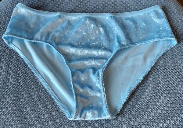 Victoria's Secret ショーツ パンティ 水色 S 新品未使用ベロアショーツ