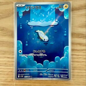 ポケモンカード シビシラス AR ブラックボルト