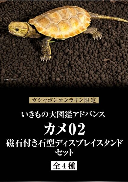 いきもの大図鑑アドバンス カメ02 オンライン予約限定ディスプレイスタンド付き 4種コンプ