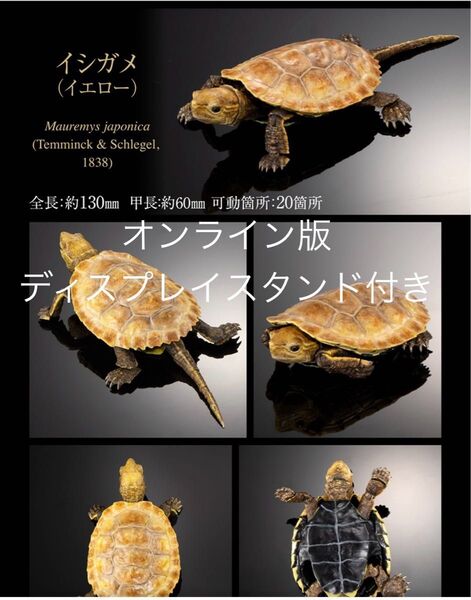 いきもの大図鑑アドバンス カメ02 イシガメ(イエロー) 予約限定ディスプレイスタンド付き