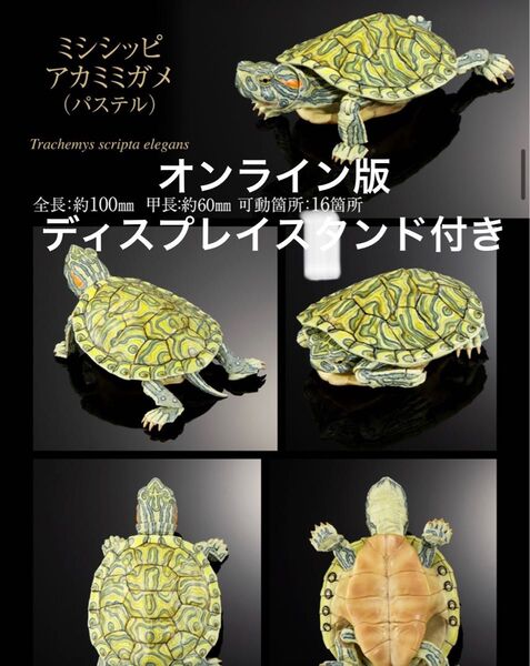いきもの大図鑑アドバンス カメ02 ミシシッピアカミミガメ(パステル) ディスプレイスタンド付き