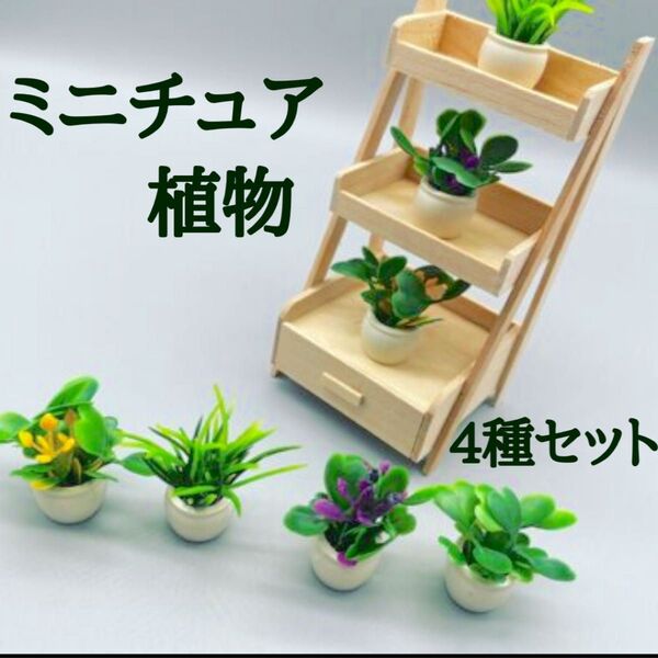 ドールハウス 観葉植物 ミニチュア 趣味 ディスプレイ