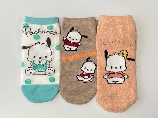 【No.40】ポチャッコ 靴下 ソックス 3足 レディース キッズ サンリオ かわいい 人気キャラクター