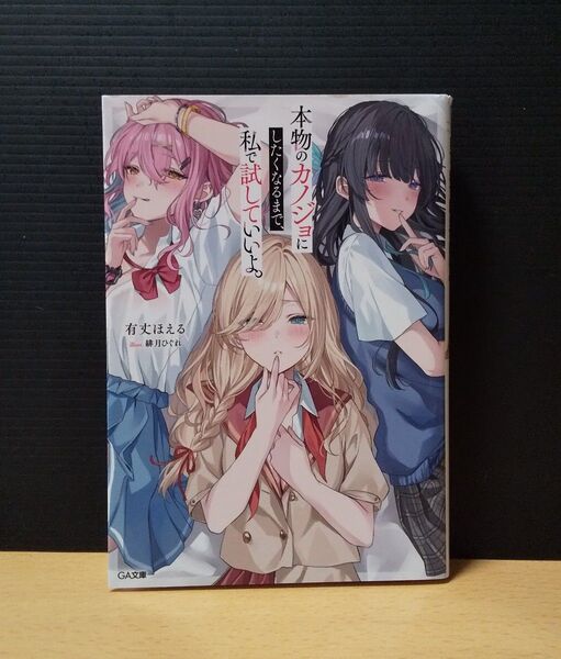 本物のカノジョにしたくなるまで、私で試していいよ