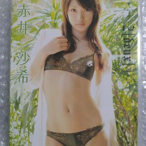 赤井沙希 2 deux DVD