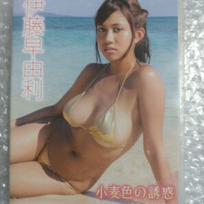 伊藤早由利 小麦色の誘惑 DVD