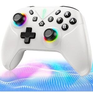 新品 未使用 Switch コントローラー ダブルホールスティック搭載 連射機能 スイッチ プロコン
