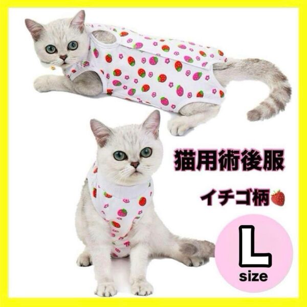 6/22まで価格★ L 猫用術後服 イチゴ柄 保護服 傷口保護 引っ掻き防止 いちご ねこ服 ネコ ペット用品