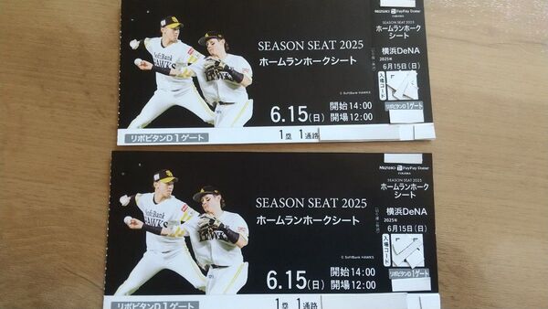 ソフトバンクホークス vs 横浜DeNAベイスターズ観戦チケット 連番2枚 日曜 おまけ付