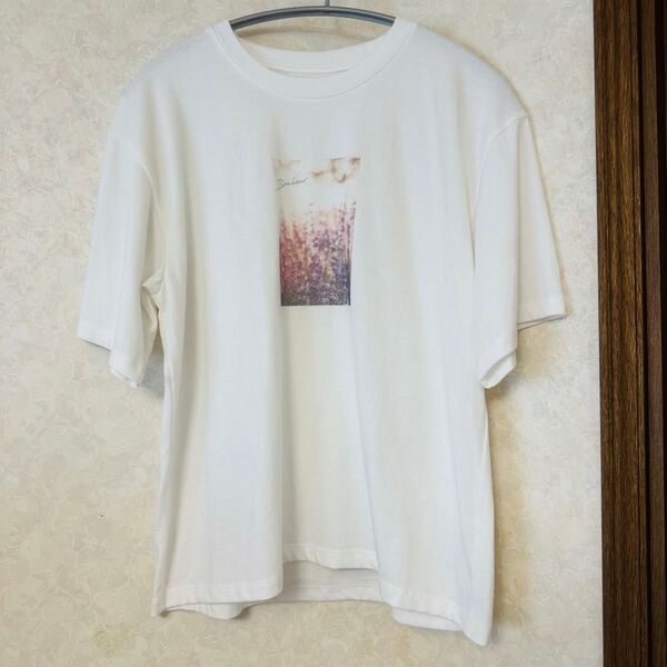 EDIT COLOGNE 半袖Tシャツ 白 ホワイト フォトプリントTシャツ フリーサイズ