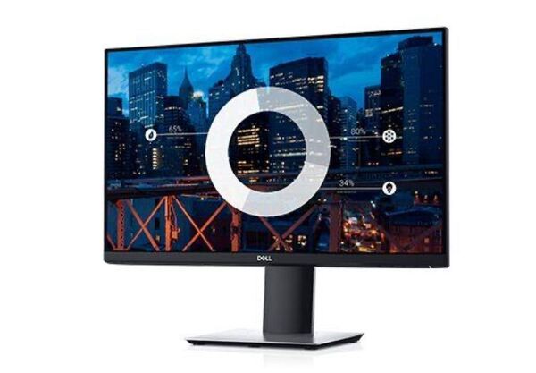 DELL P2419h 液晶モニター