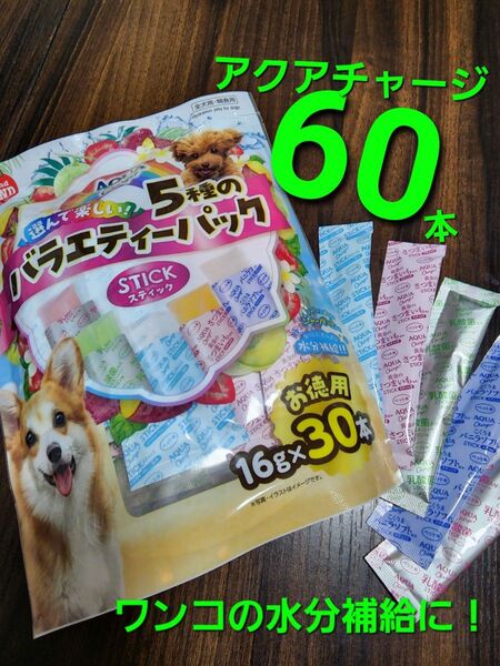 マルカン アクアチャージ スティック 5種類合計60本 犬用水分補給 ゴン太ファミリー 犬用 おやつ