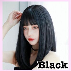 ウィッグ 黒髪 ストレート かつら セミロング 前髪あり ネット付き ぱっつん