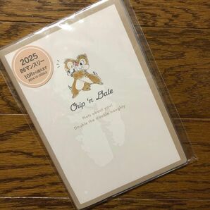 2025年 B6マンスリー手帳 チップとデール