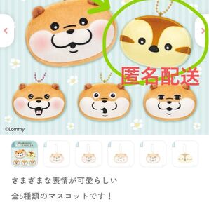 可愛い嘘のカワウソ もっちるフェイスマスコット カモちゃん ガチャ