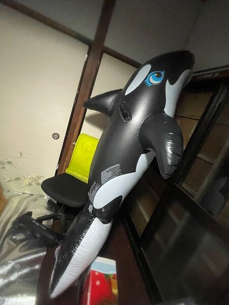 激レア!! インテックス シャチフロート 浮き輪 空ビ