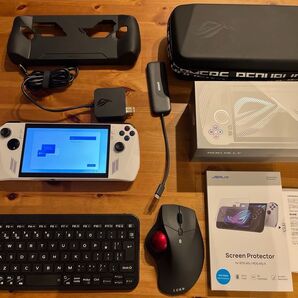 ROG Ally 使用期間3ヶ月の美品 RC71L カバー・ケース他おまけ付き
