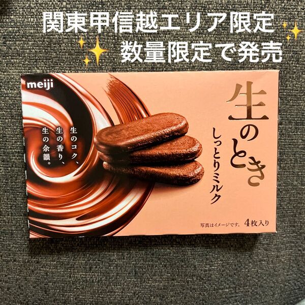 明治 生のとき しっとりミルク 関東甲信越エリア限定 チョコレート 新しいお菓子ぜひご賞味ください ハイレモンミニ追加可