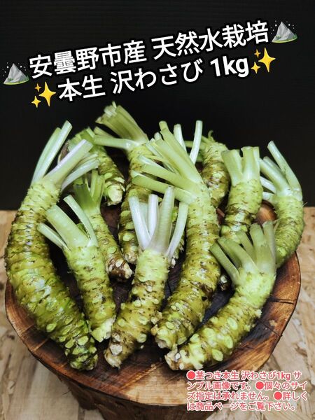 1kg 安曇野市産 本生 沢わさび 生わさび 山葵 ワサビ WASABI