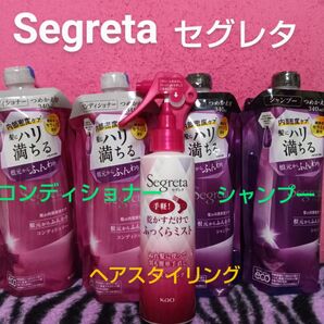 Segreta セグレタ シャンプー&コンディショナー&ヘアスタイリング