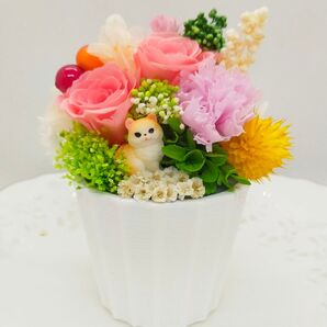 ネコちゃん プリザーブドフラワー 供花 お供え 7.6.9