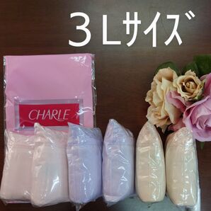 シャルレお尻すっぽりデイリーショーツ3Lサイズ6枚セット入荷したて未開封激安!