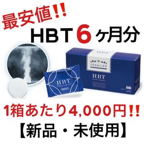 HBT ハイバブルバスタブレット 重炭酸 入浴剤 YOSA 6ヶ月分 お徳用