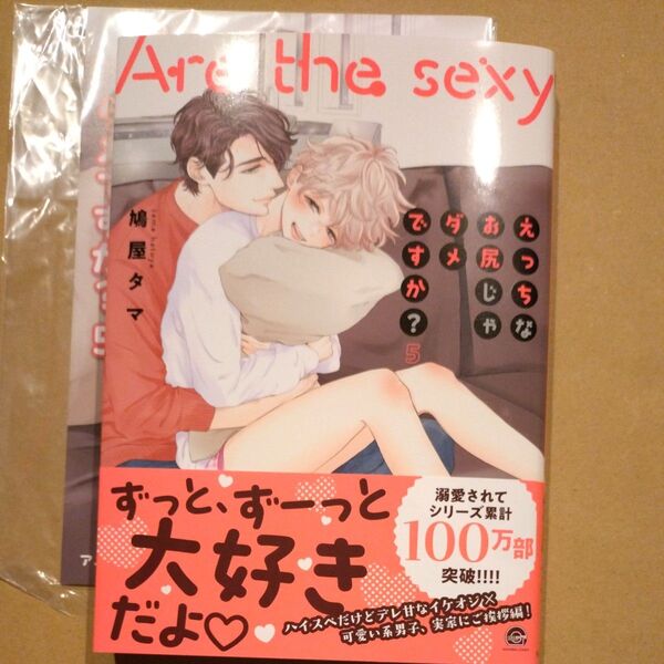 えっちなお尻じゃダメですか? 5 鳩屋タマ 小冊子付