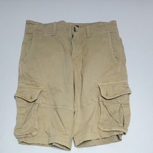 アメリカンイーグル メンズ ハーフパンツ