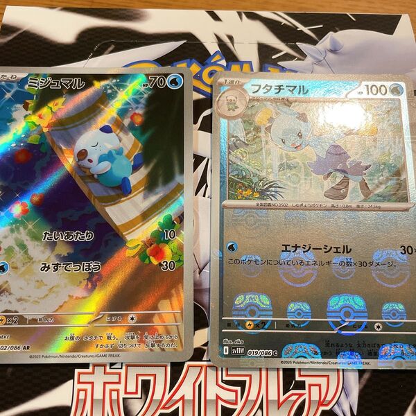 ポケモンカード ARミジュマル SSR RR ポケモンカードゲーム ポケカ 拡張パック ミラー マスターボール ホワイトフレア