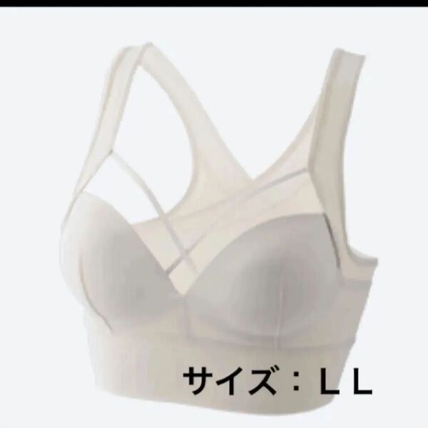 アガリズム AGARISM×GYDA ナイトブラ グレージュ LLサイズ スポーツブラ ノンワイヤー