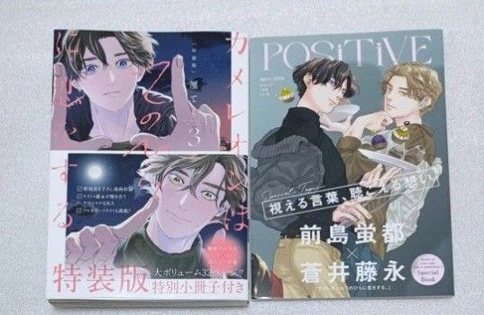カメレオンはてのひらに恋をする 3 厘てく 小冊子 特装版 新品