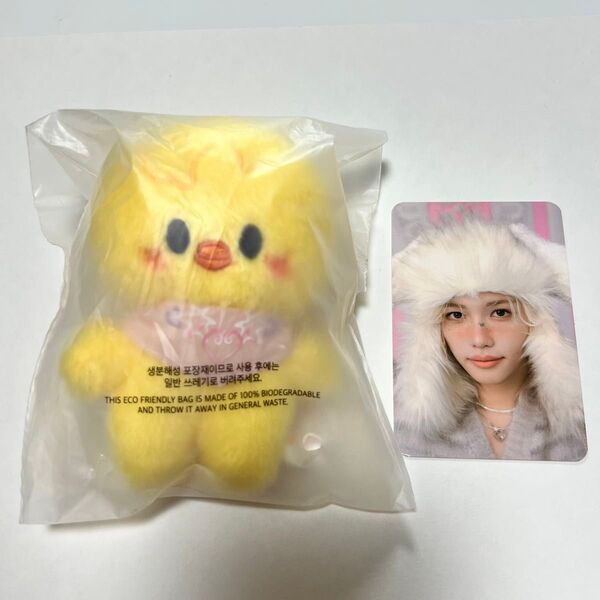 ポガリ 10cm フィリックス トレカ ボックステープ スキズ straykids 5clock ペンミ グッズ 10cmぬい