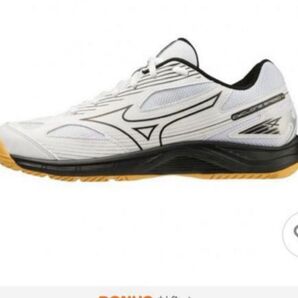 ミズノ MIZUNO レディース バレーボール シューズ CYCLONE SPEED 4 V1GA238054