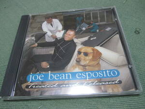 輸入美品CD ジョー・エスポジト（ex.ブルックリン・ドリームス）／Treated and Released　Joe Bean Esposito