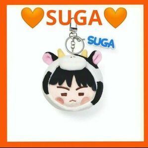 インザソム フェスタ ユンギ フェイスキーリング SUGA シュガ BTS FESTA2025 ぬいぐるみ マスコット キーホルダ