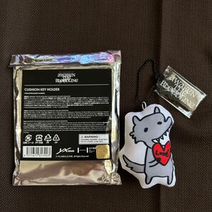 &TEAM アジアツアー クッションキーホルダー TAKI タキ