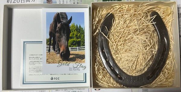 TCCホース ゴールドフラッグ号 蹄鉄【生写真3枚付き】【最終値下げ価格】