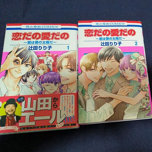 恋だの愛だの~君は僕の太陽だ~ 1巻2巻セット(花とゆめCOMICS) 辻田りり子/著