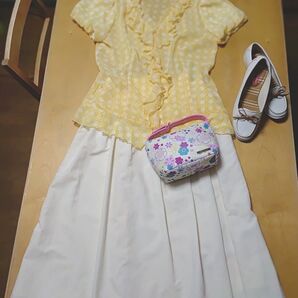 【4点セット】 a.v.v トップス dolly-sean フレアスカート マリ・クレール バック Hawkins 靴 コーデ