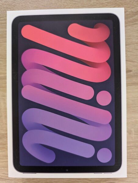 【美品】ケース+画面フィルム付 iPad mini 7世代(A17pro) 256gb WiFi版